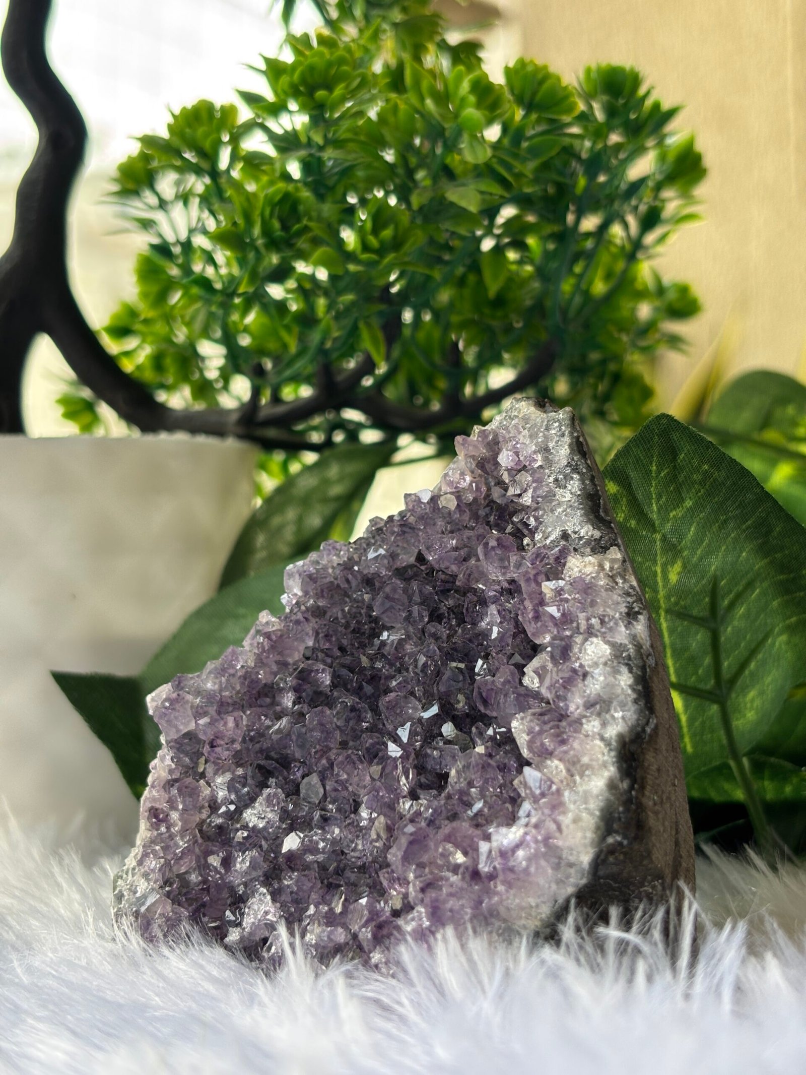 Amethyst Cluster – The Stone of Calm & Spiritual Growth